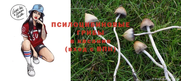 прущие крисы Новокубанск