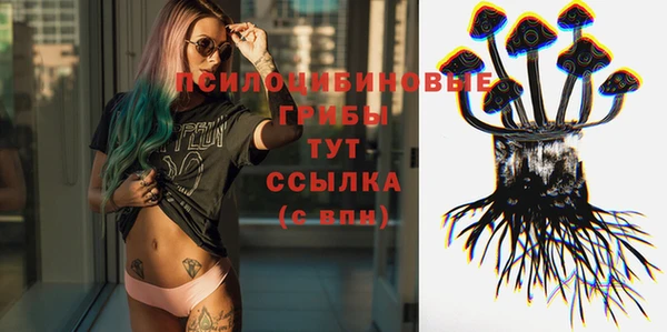 метамфетамин Алексеевка
